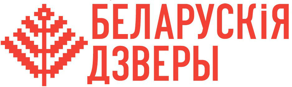 Логотип компании Беларускія дзверы