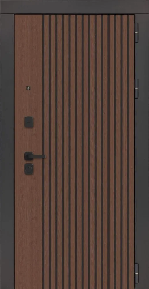Металлическая дверь 3KL-1106
